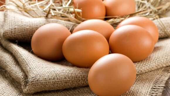 В Україні значно здешевшали яйця: чи зміниться ситуація восени - INFBusiness
