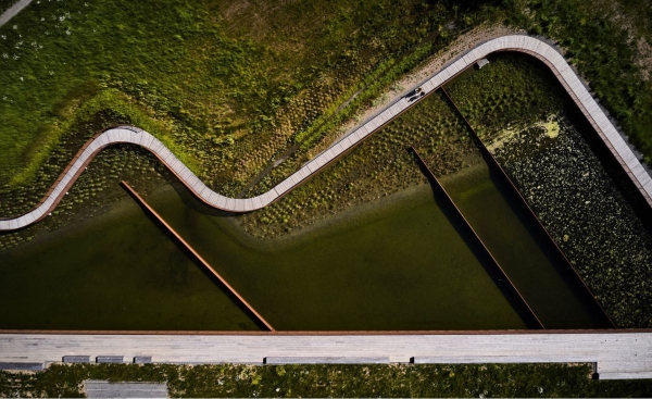 У Швеції ставок для стічних вод перетворили на місце для прогулянок та відпочинку (ФОТО) - INFBusiness