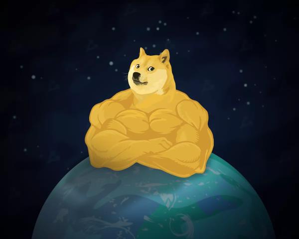 Dogecoin оновила річний максимум у свій десятирічний ювілей - INFBusiness