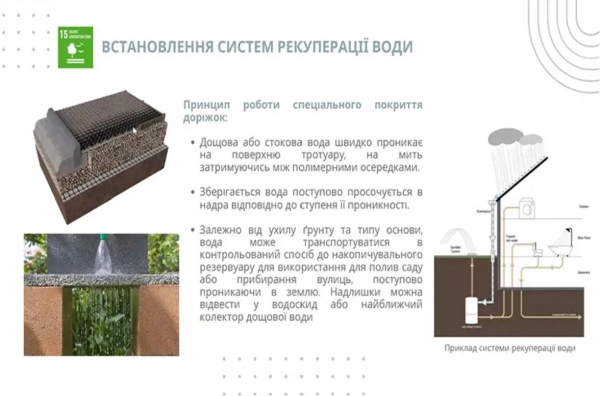 У Миколаєві презентували декілька проєктів реконструкції парку Шевченка (ВІЗУАЛІЗАЦІЇ) - INFBusiness