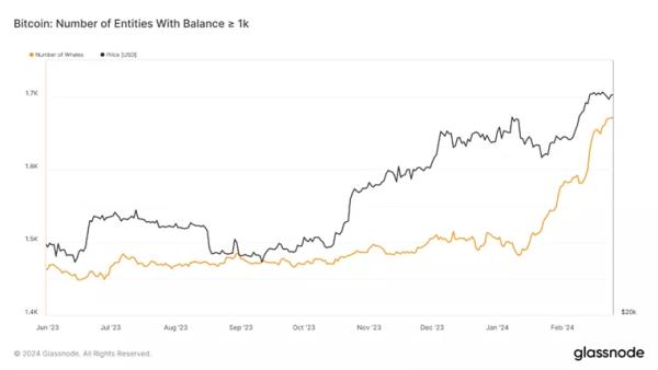 Експерти назвали ризики відходу інституціоналів з Ethereum у біткоїн - INFBusiness