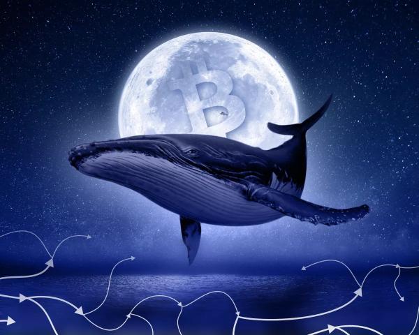«Розумний» кит заробив $3,5 млн на PEPE і закупився альткоїнами - INFBusiness