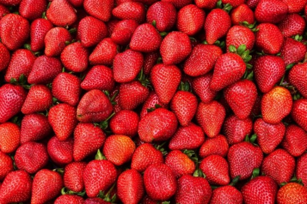 В Україні дешевшає популярна весняна ягода - INFBusiness