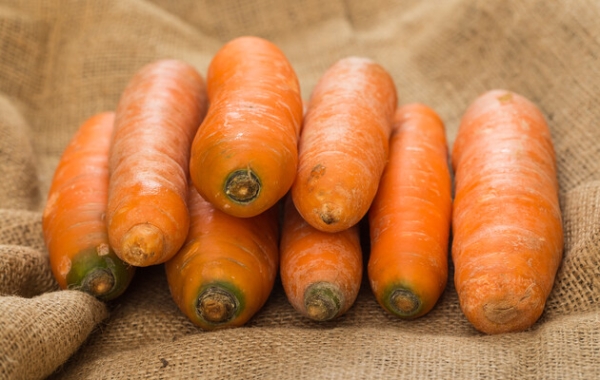Вартість торішньої моркви набирає обертів - INFBusiness