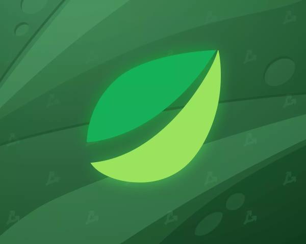 Bitfinex поверне інвестиції в невдале будівництво готелю в Сальвадорі - INFBusiness
