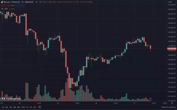 Два біткоїн-кіти перевели 9301 BTC на Binance - INFBusiness