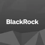 BlackRock інтегрував BUIDL з Aptos, Arbitrum, Avalanche, Optimism і Polygon - INFBusiness