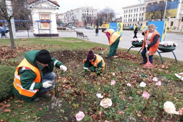 У Запорiжжi "Зеленбуд" поспiшає виконати сезоннi роботи до перших морозiв - INFBusiness