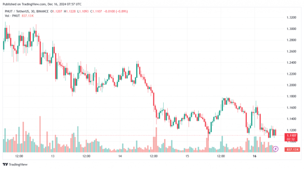 Власник білки Арахісу пригрозив Binance судом - INFBusiness