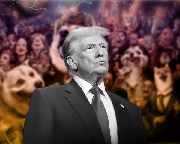 Ажіотаж навколо TRUMP не привернув на ринок нові інвестиції - INFBusiness