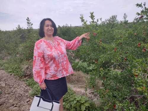 Експерт СБ Оксана Руженкова: Наші ціни наближаються до європейських, але 2 євро за батон – це перебір - INFBusiness