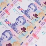 Ціна страусячого яйця шокувала українців - INFBusiness