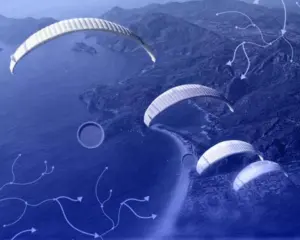 NFT-проєкт Doodles випустив токен DOOD на Solana та провів аірдроп