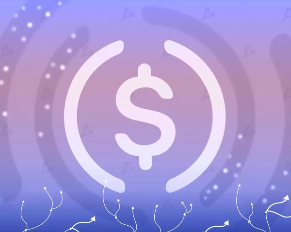ЗМІ: Ripple намагалася купити Circle, але запропонувала «занадто мало» - INFBusiness