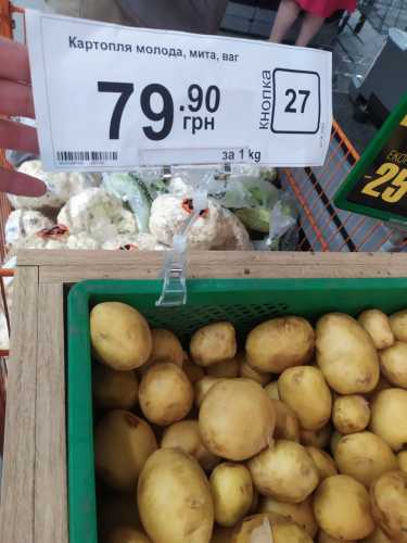 Хліб та м'ясо подорожчають, овочі – навпаки: прогноз на продуктові ціни до середини літа - INFBusiness
