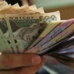 Чи діють в Україні штрафи за збирання грибів та ягід - INFBusiness