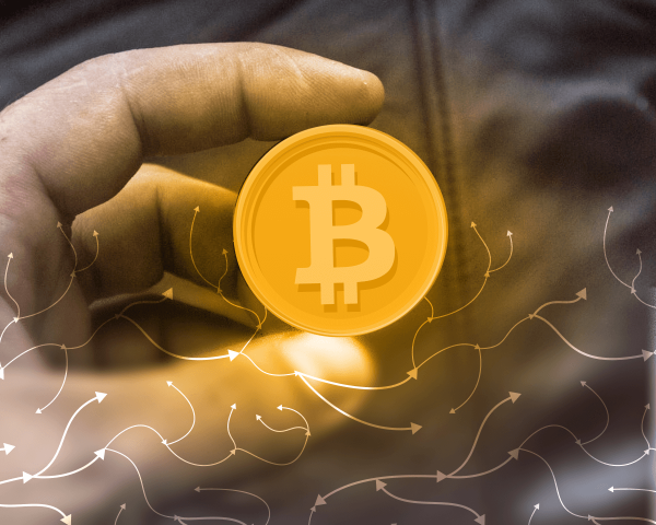 CEO CryptoQuant: теорія циклів біткоїна більше не працює - INFBusiness