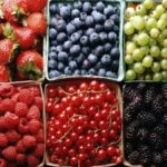 Ціни на лохину шокували українців - INFBusiness