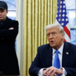 Репліка Трампа про можливу депортацію Маска обвалила акції Tesla на 4% - INFBusiness