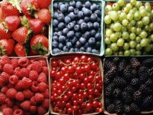 В Україні фіксують цінопад на ринку лохини