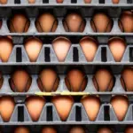 Ціни на продукти в Україні зрівнялись з європейськими, - Нацбанк - INFBusiness