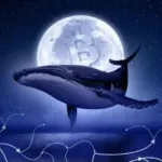 «Пробуджені» гаманці перевели 250 BTC після 15 років бездіяльності - INFBusiness