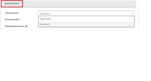 Веб-портал Пенсійного фонду України Фото: Пенсійний фонд України Як подати заявку на державні соціальні виплати онлайн - інструкції від ПФУ 4
