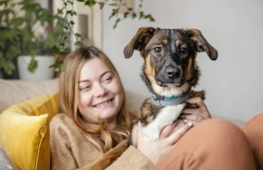 оренда квартира тварини pet-friendly