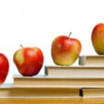 Які сайти потрібно робити, щоб заробляти в Інтернеті? - INFBusiness