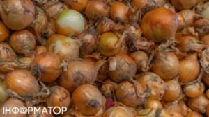 Чому росте ціна на цибулю: що буде далі?