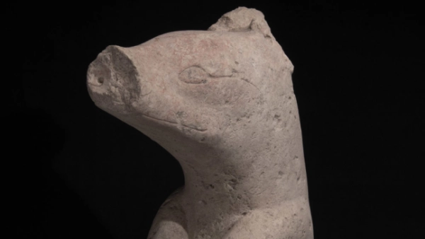 3000-річна стоянка майя може бути картою Всесвіту - INFBusiness