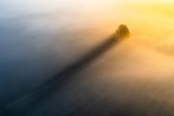 КАТЕГОРІЯ «ПРИРОДА» 1-ШЕ МІСЦЕ: «Довга тінь» (автор: Крістофер Гаррісон), Оксфордшир (Англія). «У перший день метеорологічної весни тепле світло сходу сонця пробивалося крізь низький туман, відкидаючи вражаючу довгу тінь за цим невеликим скупченням дерев на вершині стародавнього кургану бронзової доби». Оголошено переможців премії Siena Drone Photo Awards 2025. Захід демонструє вражаючі роботи аерофотографів з усього світу. Організатори заявили: «Drone Photo Awards 2025 – це нагорода, яка відзначає аерофотозйомку як мову, здатну перетворити світ, побачений зверху, на зображення з великим впливом та натяком». Міжнародне журі обрало німецького фотографа Денніса Шмельца загальним переможцем 2025 року за роботу «Самотній вершник», створену в Каппадокії: самотній вершник, увічнений на скелястому виступі під час блакитної години, у зображенні, яке поєднує красу, таємничість та унікальну перспективу на культовому ландшафті Туреччини. Денніс Шмельц сказав: «Я зробив це фото в Каппадокії, шукаючи нові ракурси, що може бути досить складним завданням у місці, де, здається, кожен куточок уже сфотографований. Під час зйомки вершника на заході сонця я відкрив цю перспективу за допомогою свого дрона. Вона створює ілюзію, що він стоїть на плато, хоча насправді це лише ракурс, який змушує його виглядати таким. Цей кадр здається справді рідкісним, свіжим видом з місця, яке зазвичай переповнене та надмірно фотографується». Фото опубліковано 20.11.2025