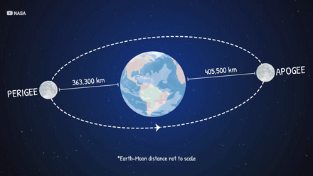 Цієї ночі багаття всі дивитимуться на повного бобра - INFBusiness