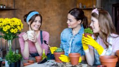 Як перетворити хобі на бізнес? - INFBusiness