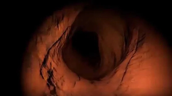 Щоб переглянути це відео, будь ласка, увімкніть JavaScript та розгляньте можливість оновлення веббраузера до веббраузера, який підтримує відео HTML5.</p> Печерна жага