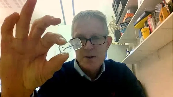 У Великій Британії лабораторних щурів замінять мікрочіпами у новому плані поступової відмови від тестування на тваринах - INFBusiness