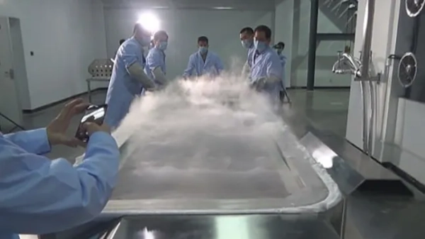 Чоловік, який першим кріогенно заморозив свою дружину в надії, що її можна буде оживити через 30 років, розпочав нові стосунки через два роки - Гуй Цзюньмін, Чжан Веньлянь