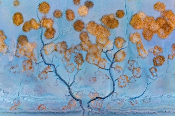 Премія з фотографування дроном 2025