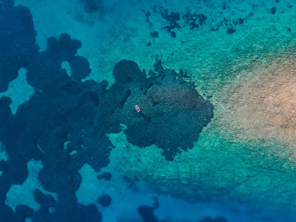 Частина Землі розривається на частини внаслідок події «аварії поїзда» - INFBusiness