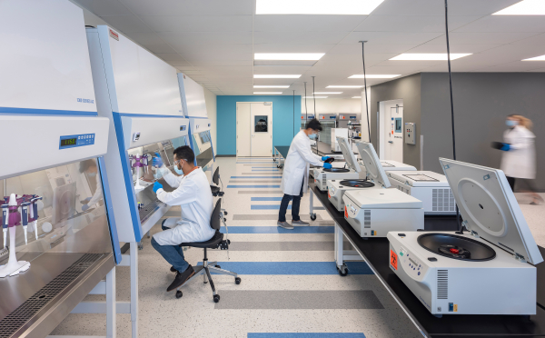 BillionToOne, біотехнологічний стартап із США, оцінюється в $4,4 мільярди після вдалого виходу на біржу Nasdaq - INFBusiness