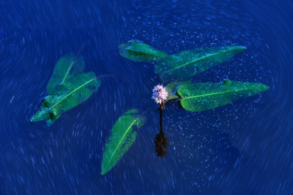 15 приголомшливих знімків з премії «Фотограф природи року» - INFBusiness