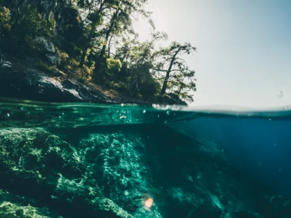 Частина Землі розривається на частини внаслідок події «аварії поїзда» - INFBusiness