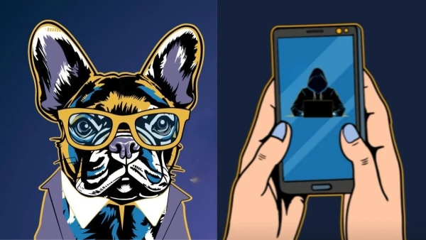 Шахрайство Фото: Кіберполіція Шахрайство Фото: Кіберполіція