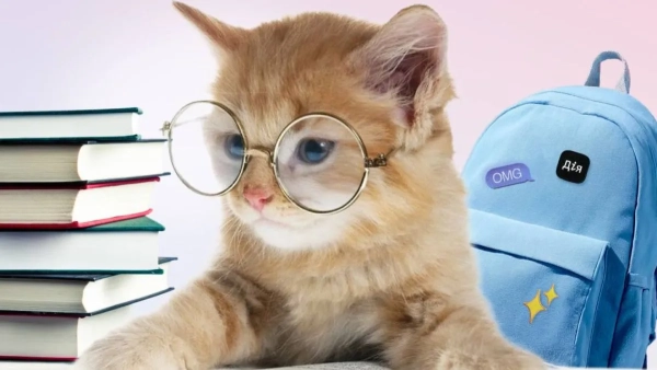 Пакунок школяра Фото: Мінцифри Пакунок школяра Фото: Мінцифри