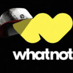 Whatnot, торговий майданчик із США, отримав 225 мільйонів доларів інвестицій, досягнувши вартості в 11,5 мільярдів доларів. - INFBusiness