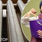 Як вберегти батареї від розриву без опалення - INFBusiness