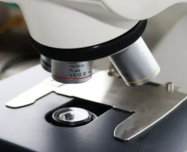 Розвіяний ще один міф: вченим вдалося відновити блукаючий нерв – поки що&hellip;