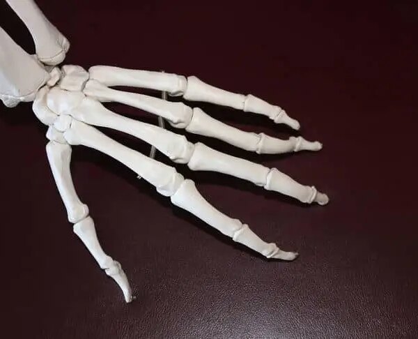 У Китаї створили аналог людських кісток для кінцівок робота