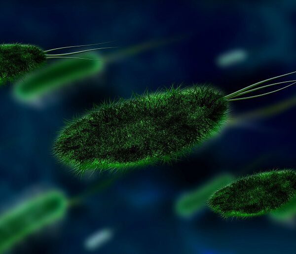 Вчені б'ють на сполох. Старі мікроби, що прокинулися, загрожують клімату