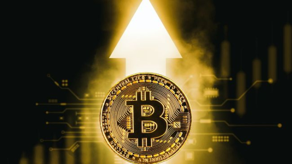 Очільниця Ark Invest: Штати інтенсивно нарощуватимуть запаси біткоїна